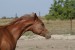 DSC00971.JPG